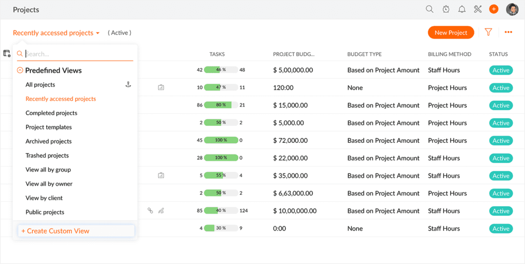 Zoho Project View