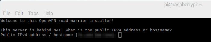 Remote IP entry with current pixelated IP address