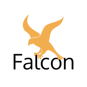 Falcon Web Framework